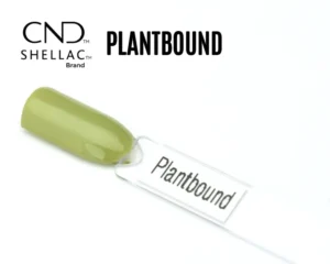 Capsule du vernis semi-permanent professionnel CND™ Shellac Plantbound, vert sauge clair aux nuances végétales et finition brillante.
