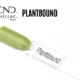 Capsule du vernis semi-permanent professionnel CND™ Shellac Plantbound, vert sauge clair aux nuances végétales et finition brillante.