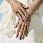 shellac artisan bazzard image1