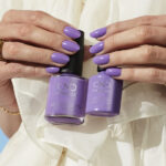 shellac artisan bazzard image3