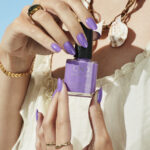 shellac artisan bazzard image4