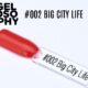 AstonishingNails Gelosophy #002 Big City Life vernis permanent rouge
