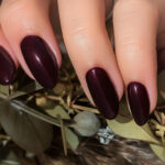AstonishingNails Gelosophy #010 The Cedars Vernis permanent