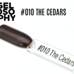 AstonishingNails Gelosophy #010 The Cedars Vernis permanent brun