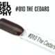 AstonishingNails Gelosophy #010 The Cedars Vernis permanent brun
