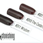 AstonishingNails Gelosophy #027 Lavish #010 The Cedars #011 Wisdom vernis permanent