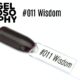 Capsule de présentation du vernis permanent AstonishingNails Gelosophy #011 Wisdom – teinte prune foncé, finition brillante.
