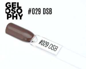 Capsule du vernis semi-permanent AstonishingNails Gelosophy #029 DSB, un brun taupe profond et élégant à la finition brillante.