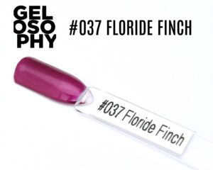 Capsule du vernis semi-permanent AstonishingNails Gelosophy #037 Floride Finch, un rose fuchsia nacré et brillant.