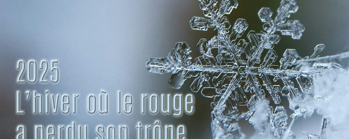 2025 L'hiver où le rouge a perdu son trônr