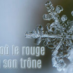2025 L'hiver où le rouge a perdu son trônr