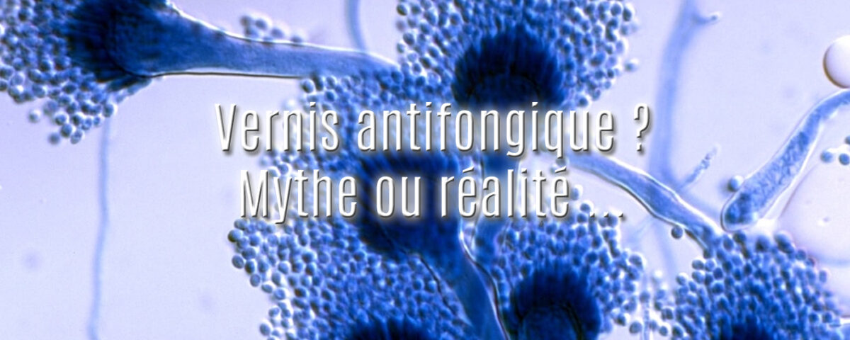 Champignons responsables des mycoses des ongles et question sur le vernis antifongique