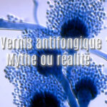 Champignons responsables des mycoses des ongles et question sur le vernis antifongique