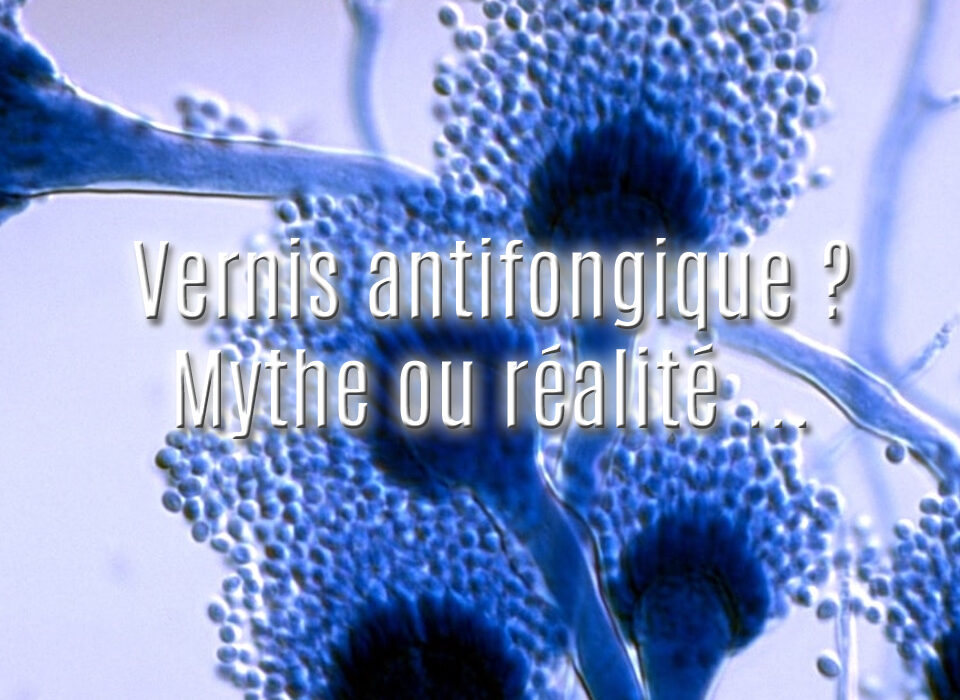 Champignons responsables des mycoses des ongles et question sur le vernis antifongique