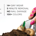 CND Shellac vernis permanent professionnel 14 jours de tenue, brillance intense, dépose rapide sans abîmer l’ongle, plus de 100 couleurs disponibles