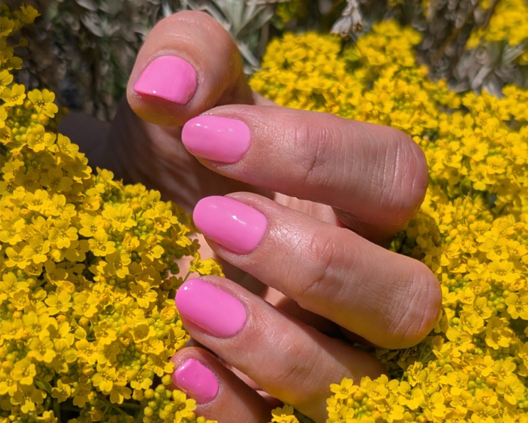 ongles rose pastel manucure NailPerfect Upvoted Petal Pitcher tendance printemps 2026